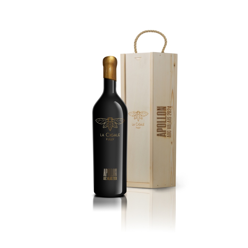 Apollon 2024 150 cl.