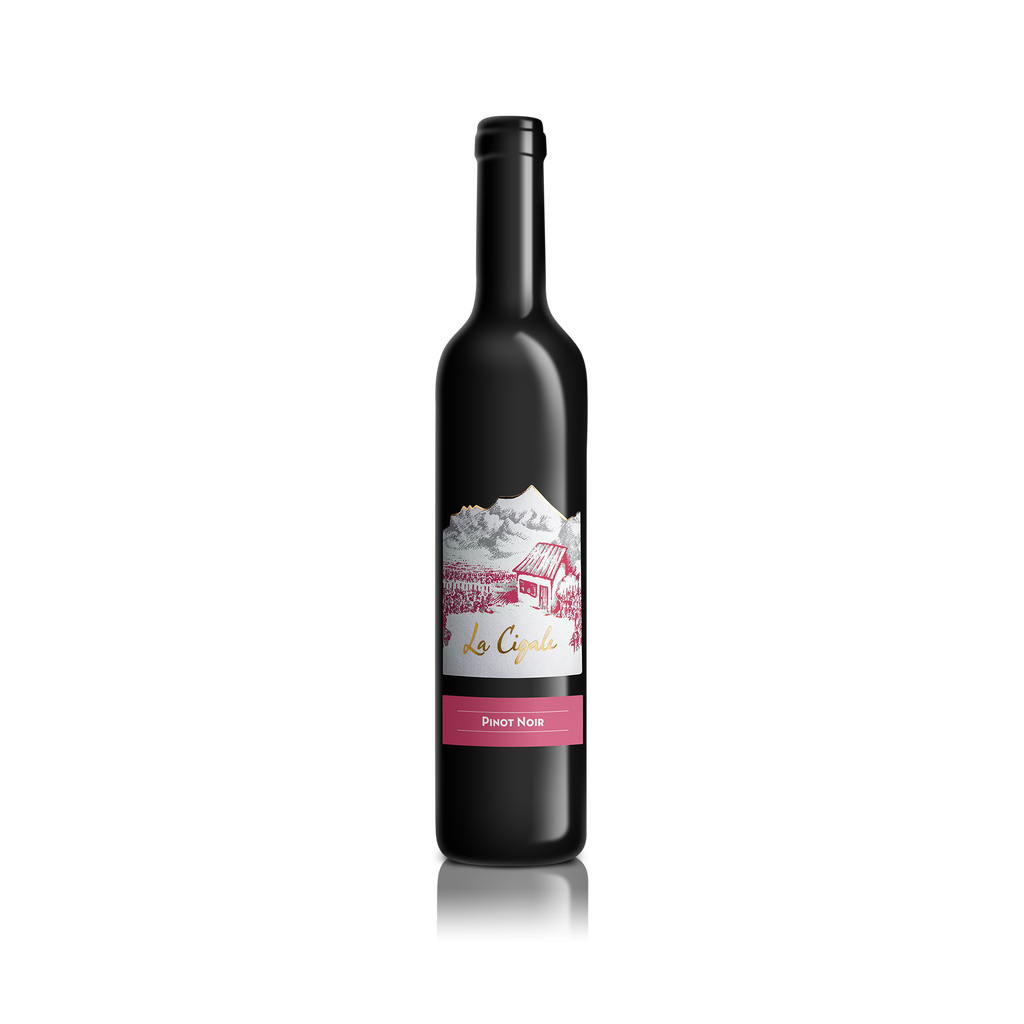 Pinot Noir 2022 50 cl.