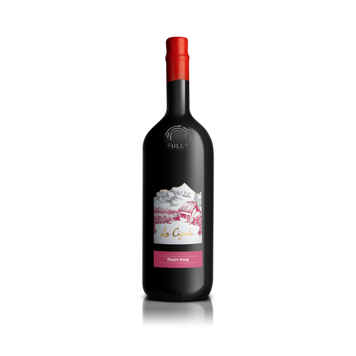 [PN15024] Pinot Noir 2024 150cl Magnum