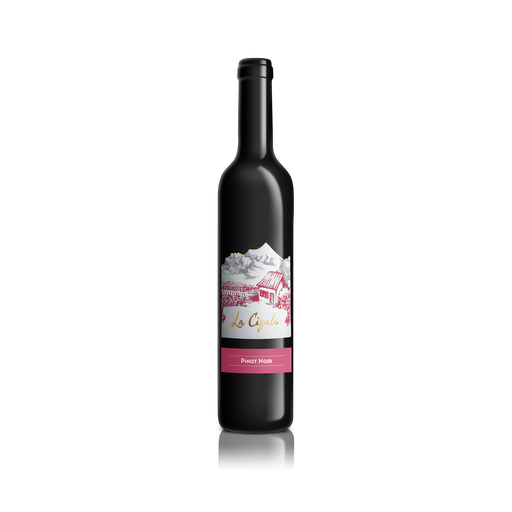 [PN5025] Pinot Noir 2025 50 cl.