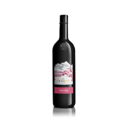 [PN7522] Pinot Noir 2022 75 cl.